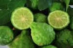 Kaffir Limes  Stock Photo