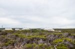 Cape Nelson Lighthouse Stock Photo