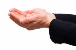 Businessman Hand Stock Photo