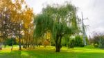 Autumn Season In Russia Moscow Stock Photo