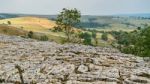 View Of The Limestone Pavement Above Malham Cove In The Yorkshir Stock Photo