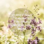 Meaningful Quotes On Purple Flowers In Meadow Under Sunlight Stock Photo