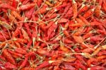 Dried Chillis Stock Photo