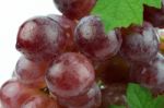 Red Grape Isolated On White Background Stock Photo