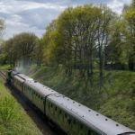 Flying Scotsman On The Bluebell Line Stock Photo