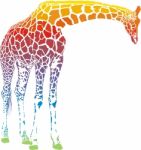 Rainbow Giraffe Stock Photo