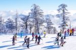 Deogyusan,korea - January 23: Tourists Taking Photos Of The Beautiful Scenery Around Deogyusan,south Korea On January 23, 2015 Stock Photo