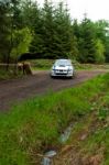 S. Cullen Driving Subaru Impreza Stock Photo