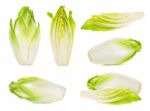 Slice Chicory Isolated Stock Photo