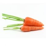 Carrot Stock Photo