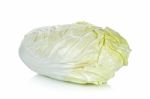 Chinese Cabbage Isolated On The White Background Stock Photo