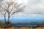 From Andes To Amazon, View Of The Tropical Rainforest, Ecuador Stock Photo