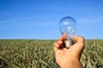 Lightbulb In Hand Stock Photo