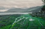 Tessellated Pavement In Pirates Bay Stock Photo