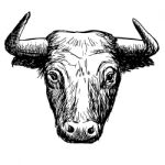 Freehand Sketch Illustration Of Bul Stock Photo