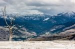 Mammoth Hot Springs Stock Photo