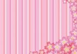 Pink Sakura Background Stock Photo