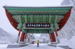 Professional Photographer Takes Photos With Camera At Gate Of Baekyangsa Temple And Falling Snow, Naejangsan Mountain In Winter,south Korea.winter Landscape Stock Photo