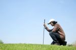 Male Golf Player Stock Photo