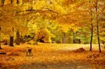 Autumn October Colorful Park. Foliage Trees Alley Stock Photo