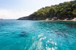 Sea For Diving At Koh Payu, Similan Island, Thailand Stock Photo