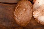 Shiitake Mushrooms Stock Photo