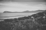 View Of Bruny Island Beach During The Day Stock Photo