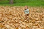 Little Boy Running On Autumn Leaves Stock Photo