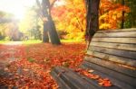 Sun Shines On Wood Bench On Autumn Park Stock Photo