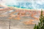 Grand Prismatic Spring Stock Photo