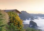 People Look At Beautiful Sun Rise Phulangka Mountain And The Mis Stock Photo