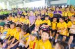 Primary Students Visit The Zoo, In The Jul 27, 2016. Bangkok Thailand Stock Photo