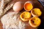 Egg Tart Stock Photo