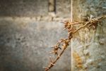 Old Barbed On A Pillar Stock Photo