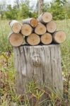 Pile Of Logs On Stumpy Stock Photo