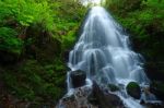 Waterfall In Forest Stock Photo