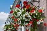 East Grinstead In Bloom Stock Photo