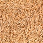 Hay Pattern Stock Photo