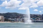 Wellington, New Zealand - February 11 : Waterfront In Wellington Stock Photo