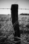 Rusted Sharp Timber And Metal Barb Wire Fence Stock Photo