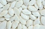 Pumpkin Seeds Stock Photo