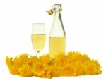 Dandelion Wine Stock Photo