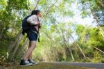 Hiker In Forest Stock Photo