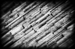 Panel Of Wood Plank Stock Photo