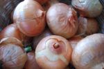 Onions In A Braided Brown Basket Stock Photo