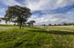 Spring Countryside Landscape Stock Photo