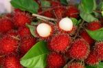 Rambutan Thai Fruit Stock Photo