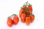 Tomatoes On Vine Stock Photo