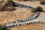 Two Lines Of Beehives In Cyprus Stock Photo