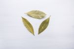 Dried Bay Leaves On White Wooden Background Stock Photo